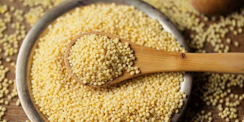 Proso millets